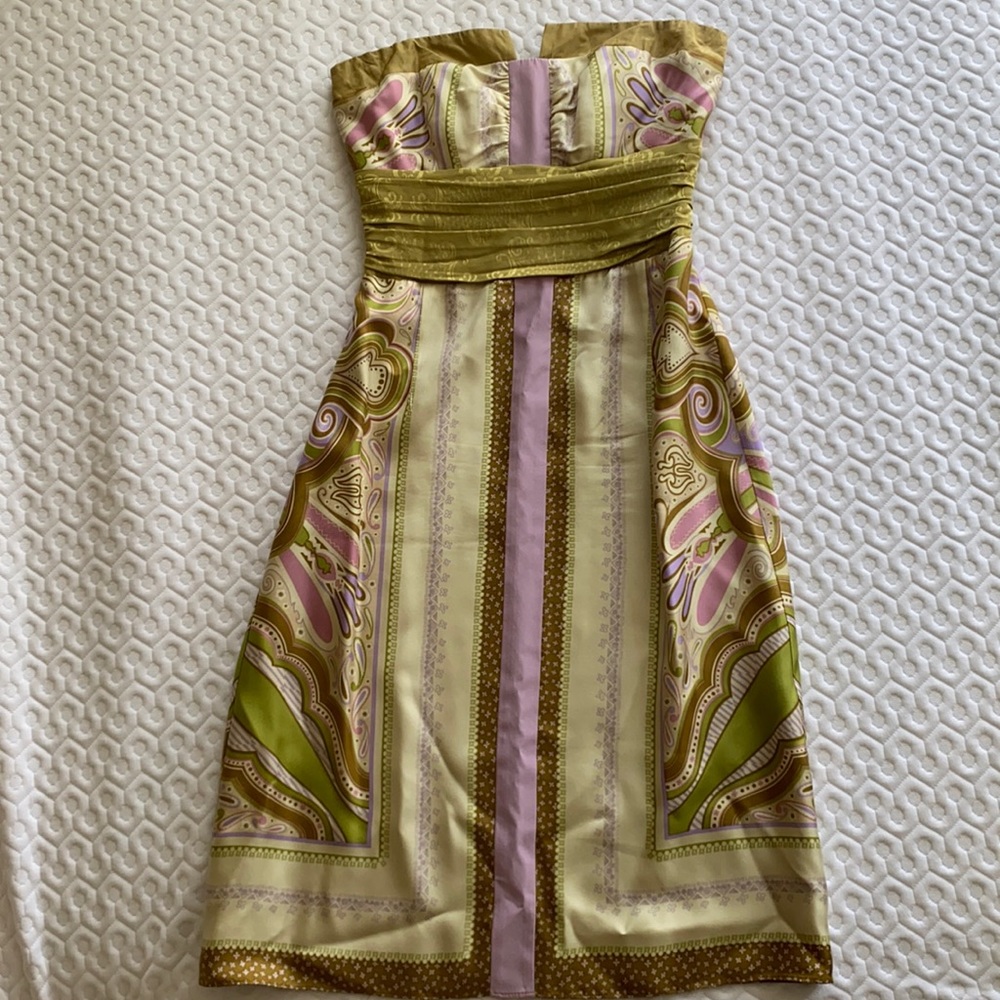 Gorgeous 100% silk Nicole Miller Dress